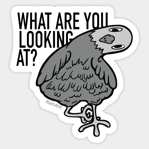 what are you looking at? Pigeon Sticker by Rain Ant